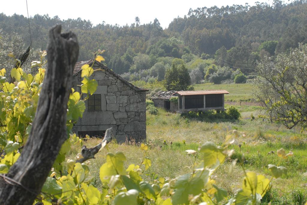Вілла Casa Do Tear Macieira de Alcoba Номер фото